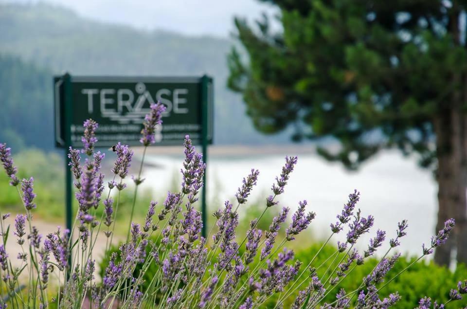 Apartmani Terase Konjska Reka 외부 사진