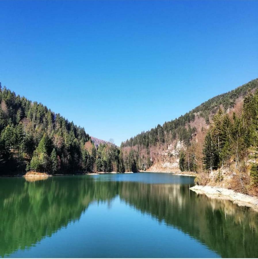 Apartmani Terase Konjska Reka 외부 사진
